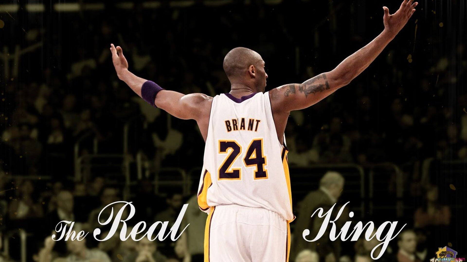 詹姆斯新星大比分获胜表现突出,德国队前途光明!气势如虹延续